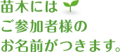 苗木にはご参加者様のお名前がつきます。