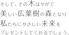 そして、その木はやがて美しい広葉樹の森となり私たちにやさしい未来をプレゼントしてくれるでしょう。